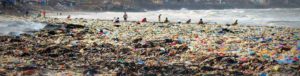 Očistili najbolj umazano plažo na svetu