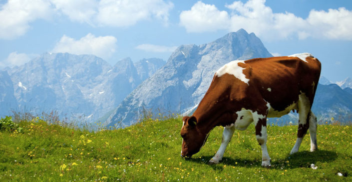 Zmanjšano uživanje rdečega mesa bi znižalo emisije CO2